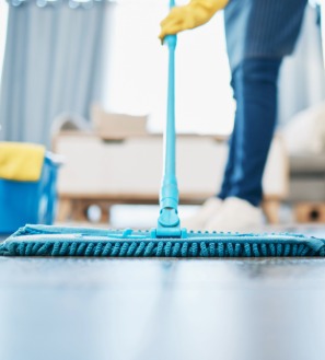 purple cow cleaner mopping floor