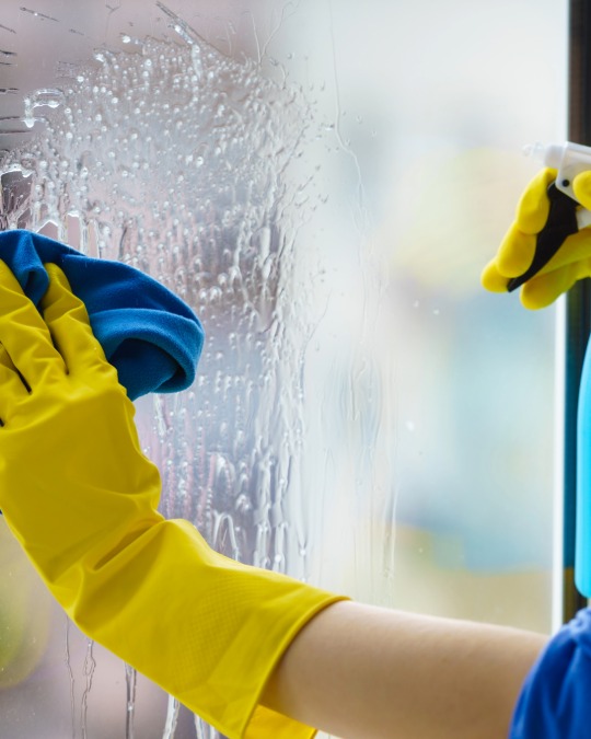 cleaning windows in a newton ma home